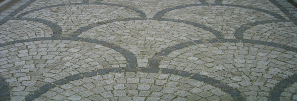 Primary Raster logo